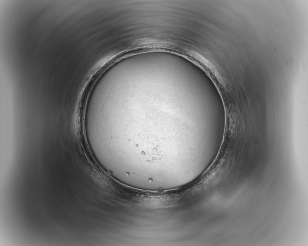 X0000096721074200802051438