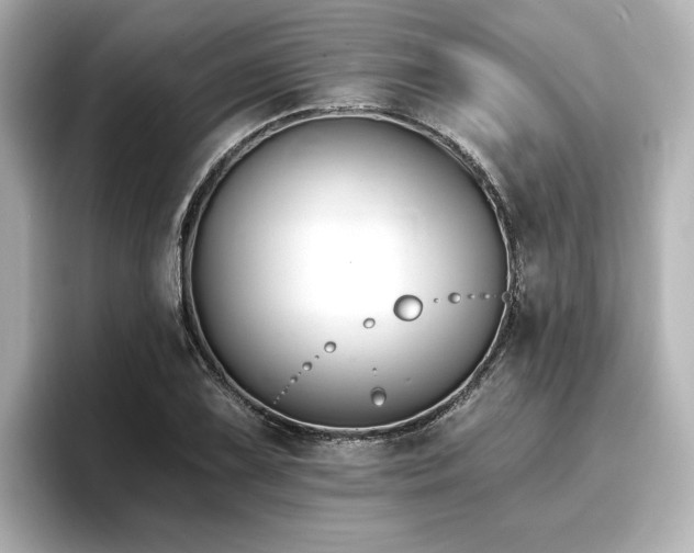 X0000096721075200802051438