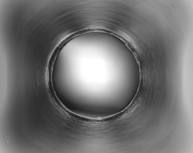 X0000096721076200802051438