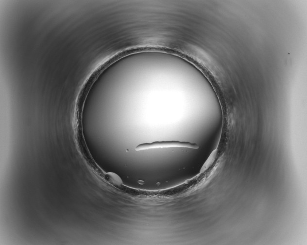 X0000096721077200802051438