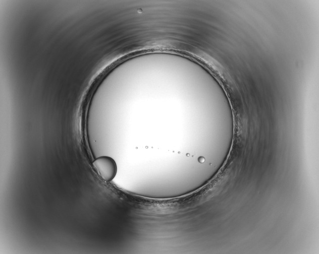 X0000096721078200802051438