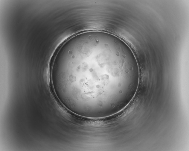 X0000096721079200802051438