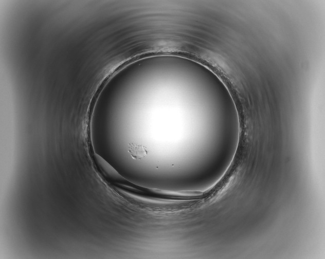 X0000096721081200802051438