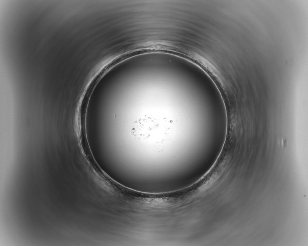 X0000096721082200802051438
