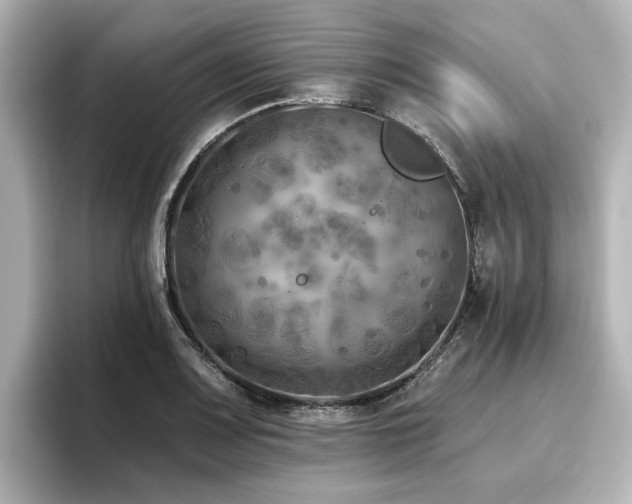 X0000096721083200802051438