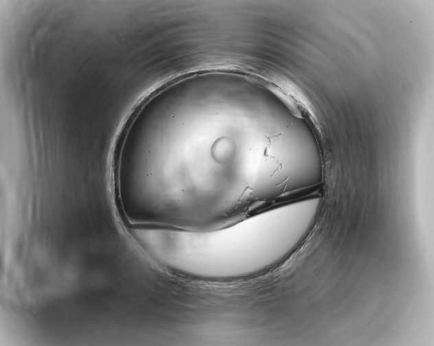 X0000096721088200802051438