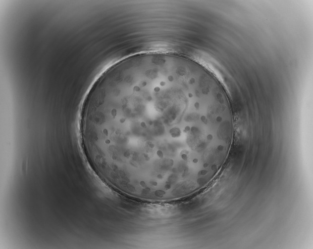 X0000096721091200802051437