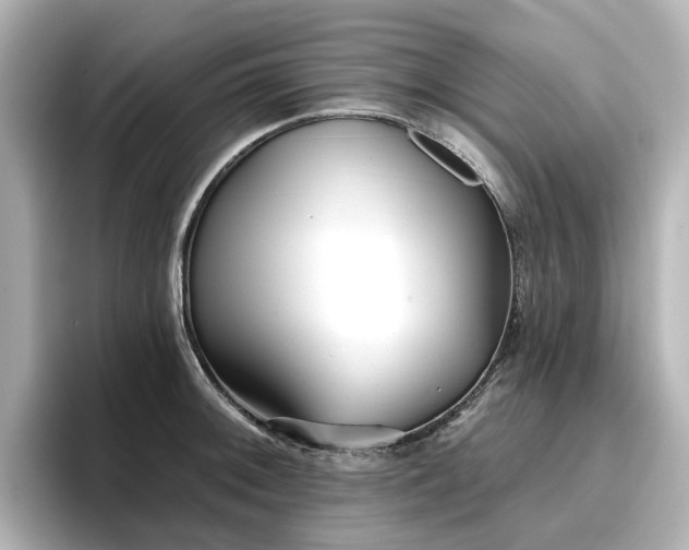 X0000096721092200802051437