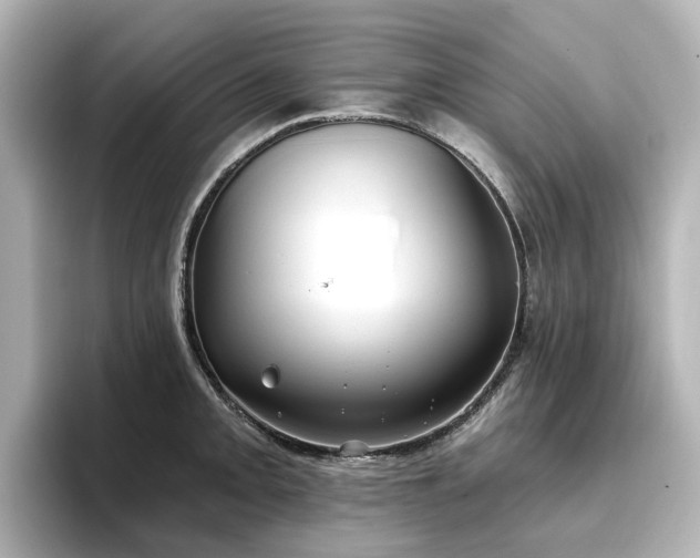 X0000096721093200802051437