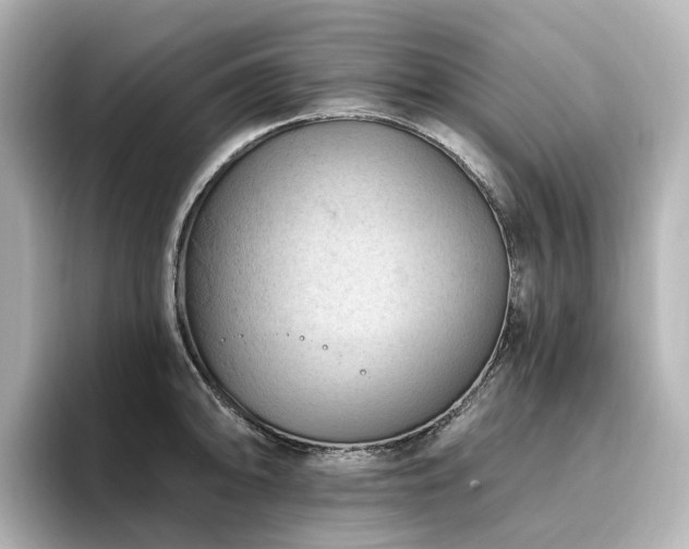 X0000096721094200802051437