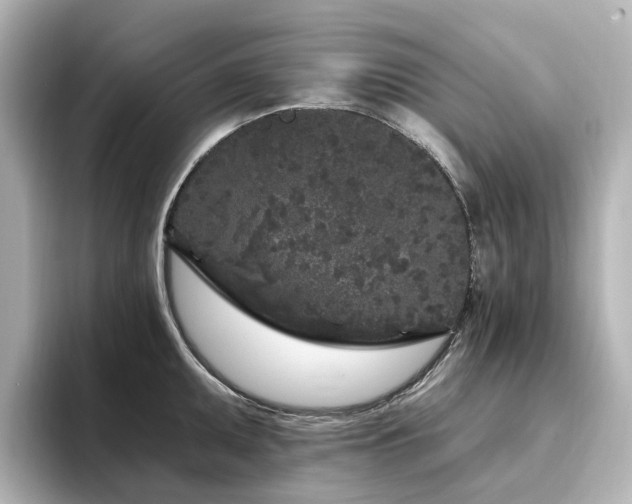 X0000096721095200802051437