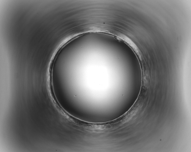 X0000096721096200802051437
