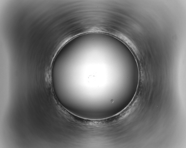 X0000096721097200802051437