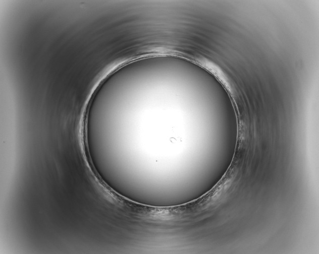 X0000096721098200802051437