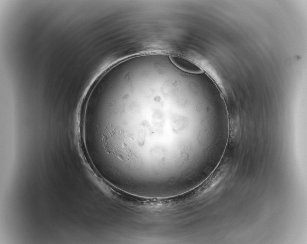 X0000096721099200802051437
