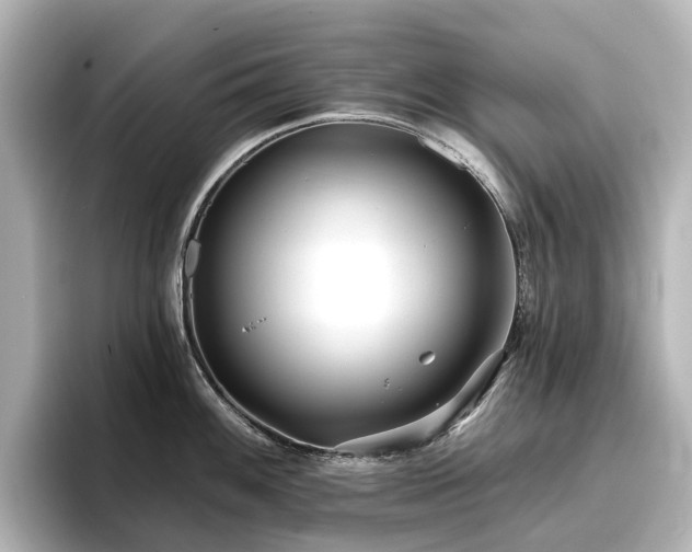 X0000096721100200802051437