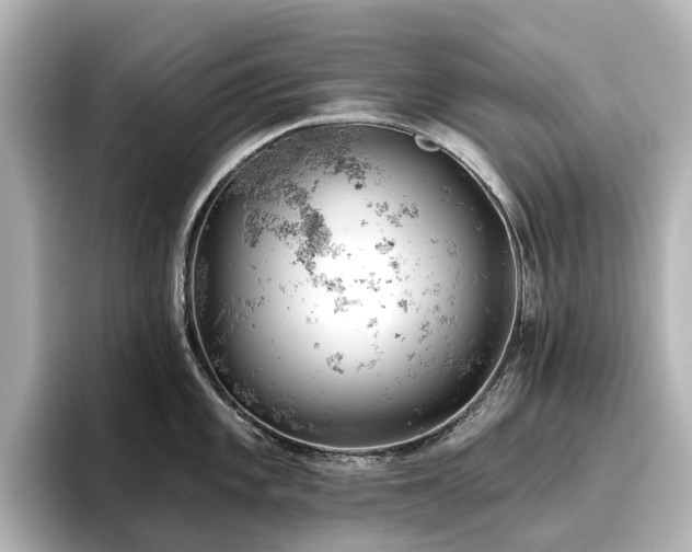 X0000096721101200802051437