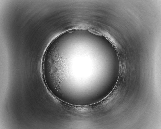 X0000096721103200802051437