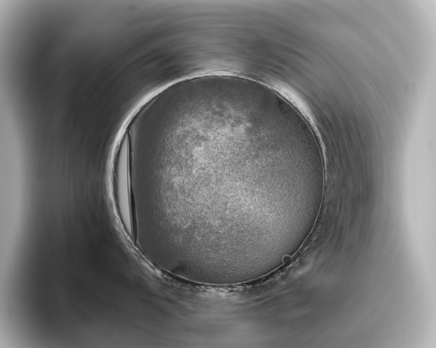X0000096721104200802051437