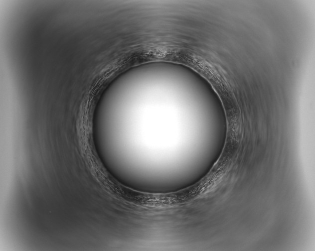 X0000096721105200802051437