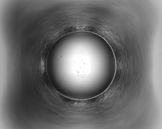 X0000096721106200802051437