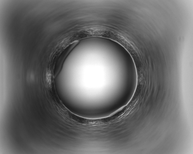X0000096721108200802051437