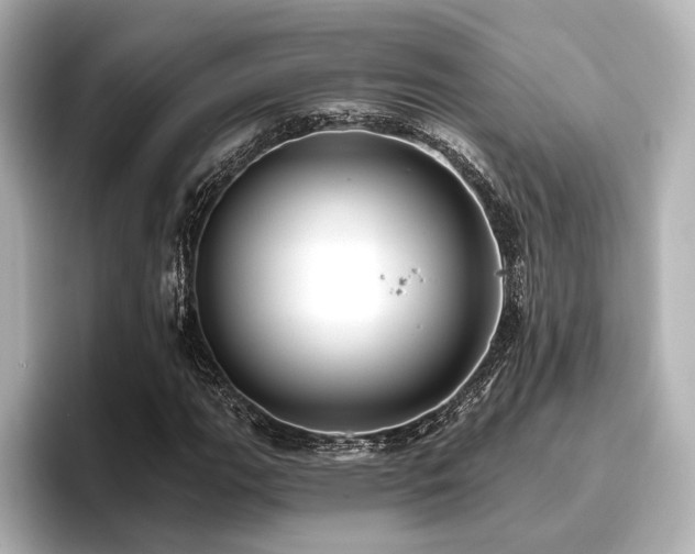 X0000096721111200802051437