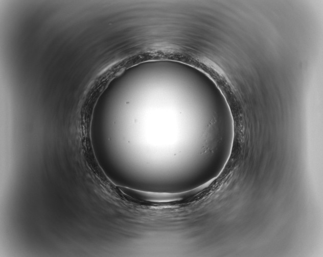 X0000096721112200802051437
