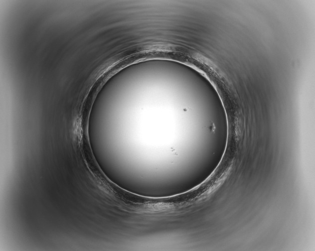 X0000096721113200802051437