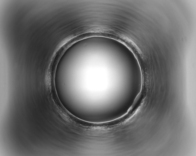 X0000096721114200802051437