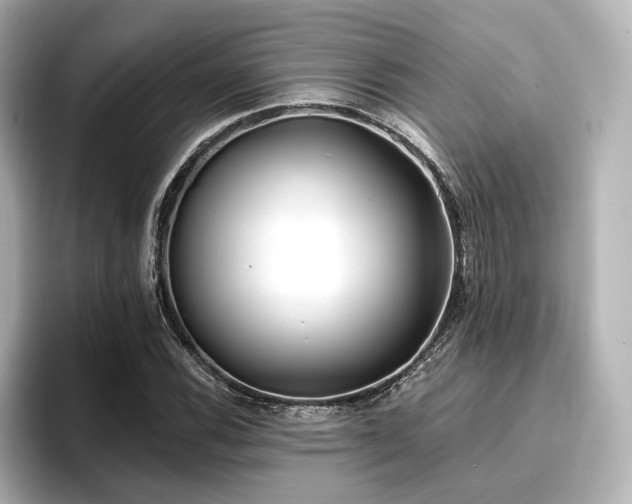X0000096721116200802051437