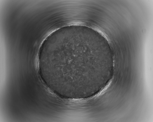 X0000096721117200802051437