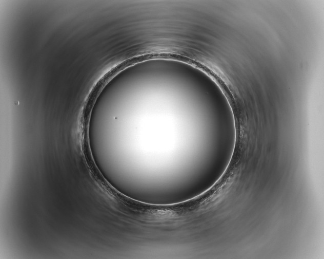 X0000096721119200802051437