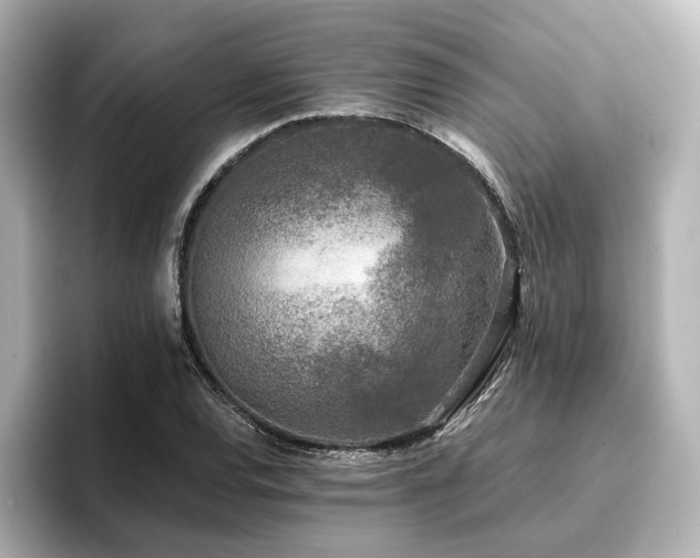 X0000096721120200802051437