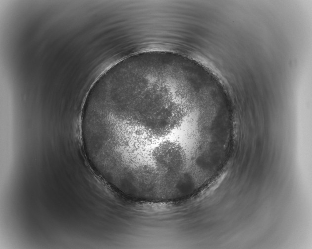 X0000096721121200802051437