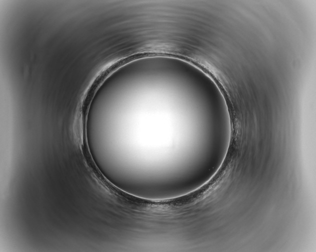 X0000096721123200802051437