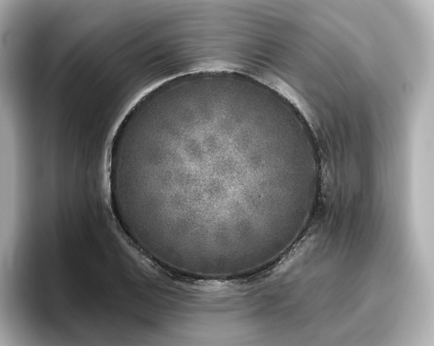 X0000096721124200802051437