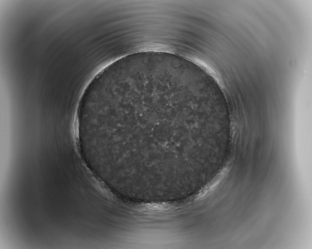 X0000096721125200802051437