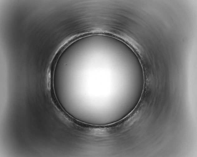 X0000096721126200802051437