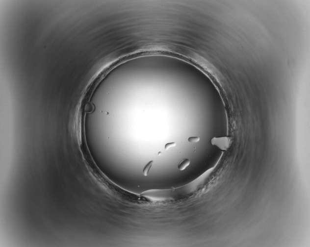 X0000096721127200802051437