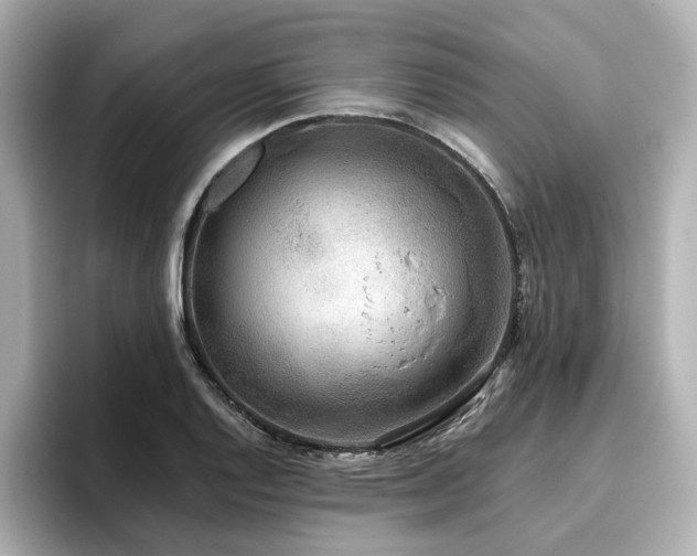 X0000096721128200802051437