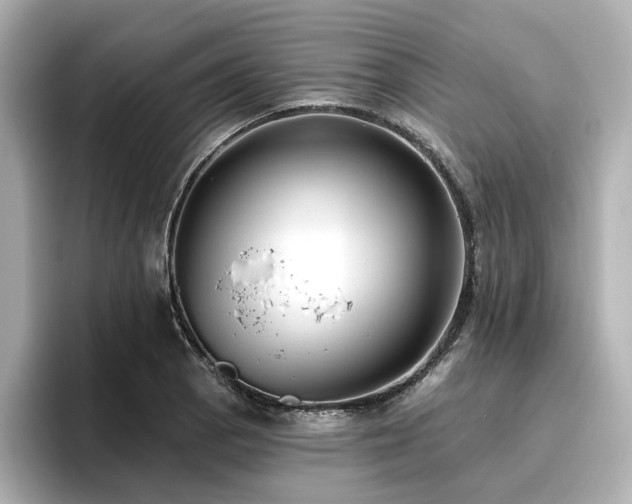 X0000096721129200802051437