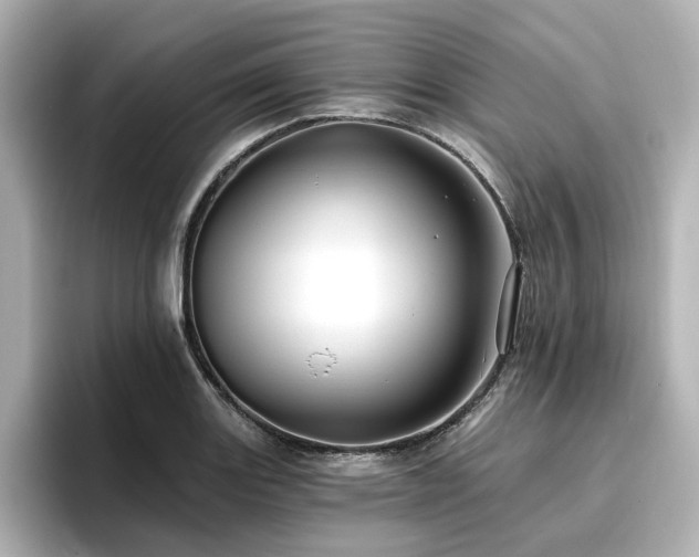 X0000096721131200802051437