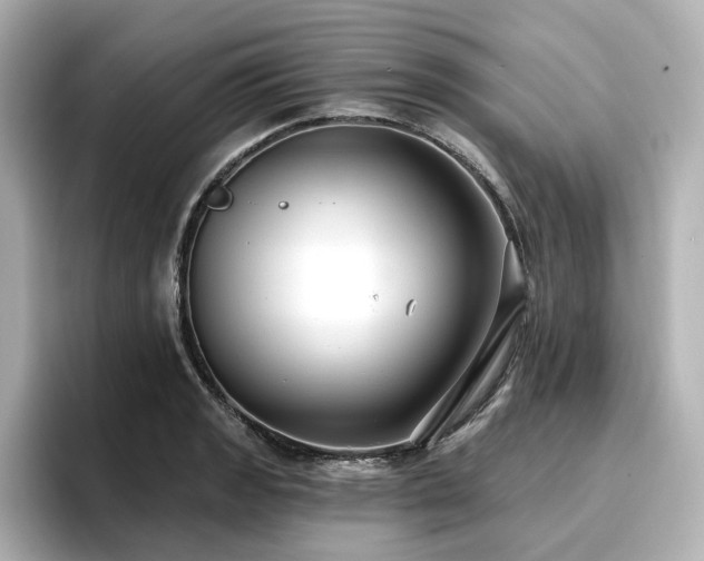 X0000096721133200802051437