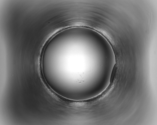 X0000096721134200802051437