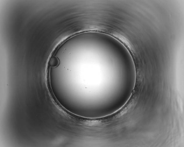 X0000096721135200802051437