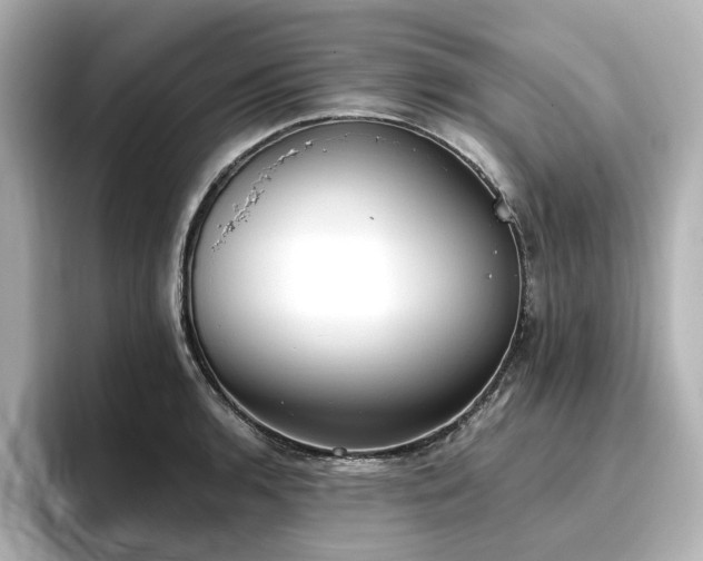 X0000096721136200802051437