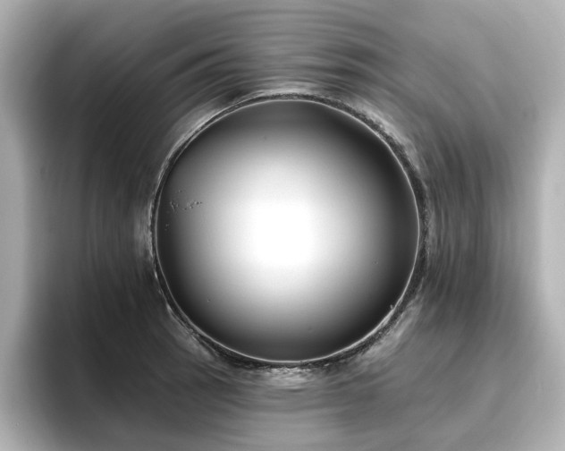 X0000096721137200802051437