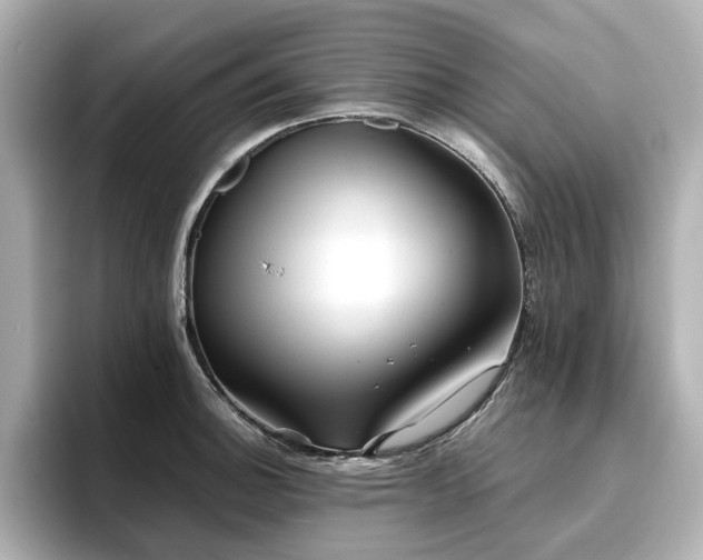 X0000096721140200802051437