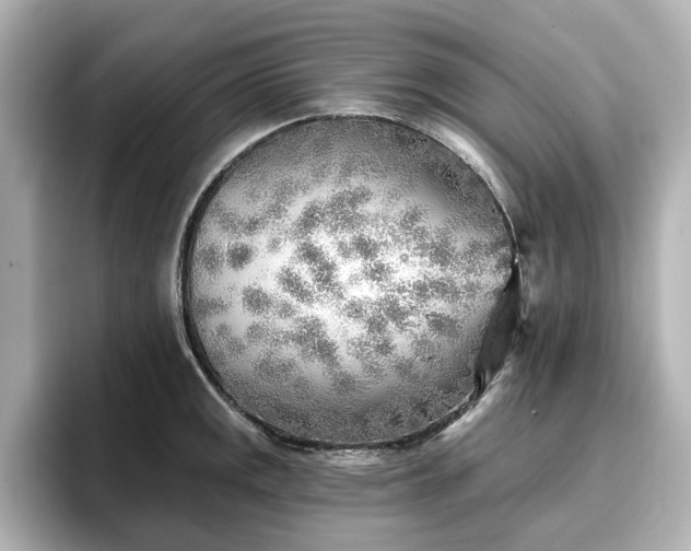 X0000096721141200802051437